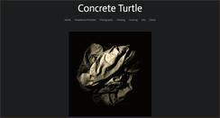 Desktop Screenshot of concreteturtle.com